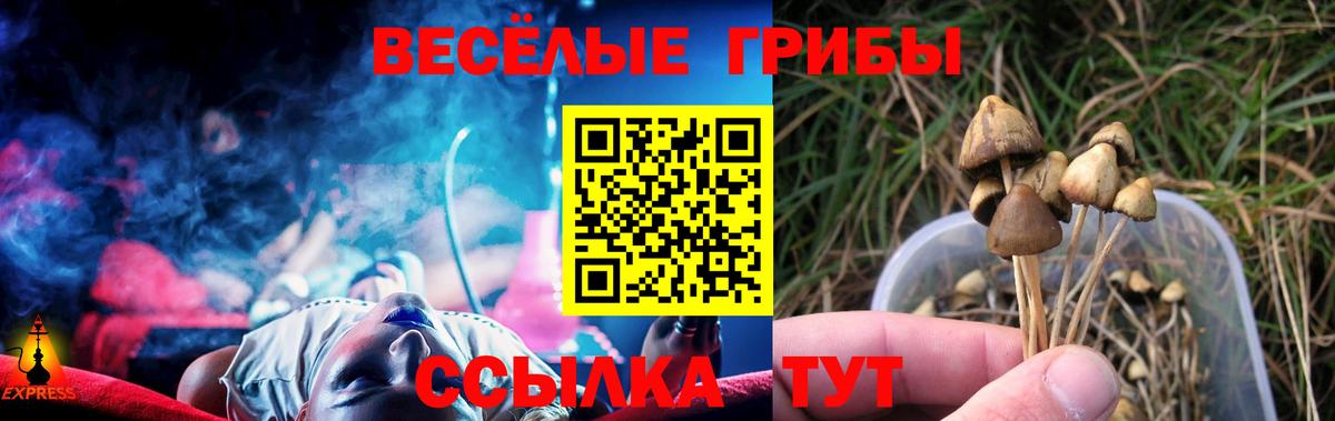 Галлюциногенные грибы прущие грибы  сколько стоит  Сердобск  Вход с VPN 