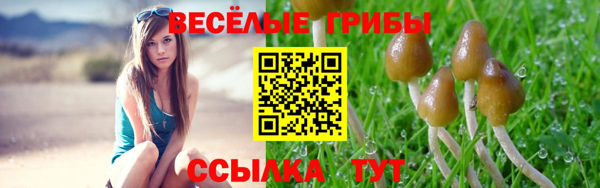 Псилоцибиновые грибы Cubensis Сердобск